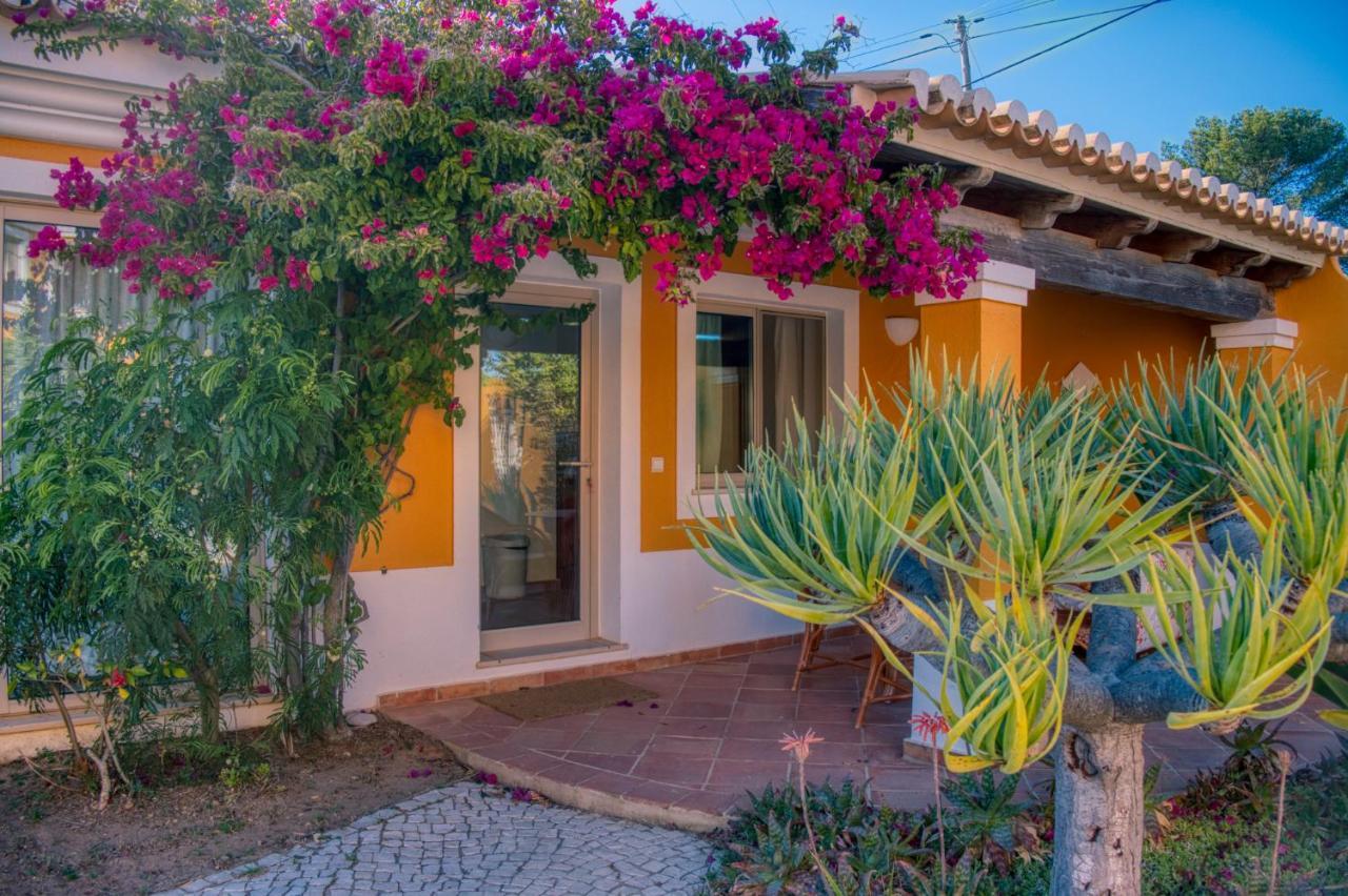 Moonshine Guest House With Private Studios And Private Cottage Lagos Eksteriør billede